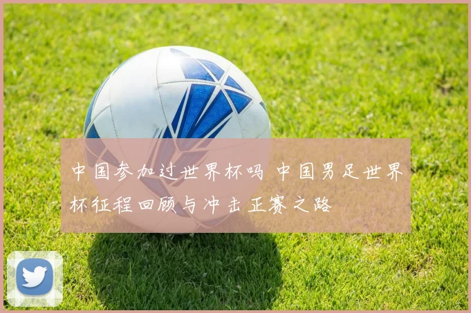 中国参加过世界杯吗 中国男足世界杯征程回顾与冲击正赛之路