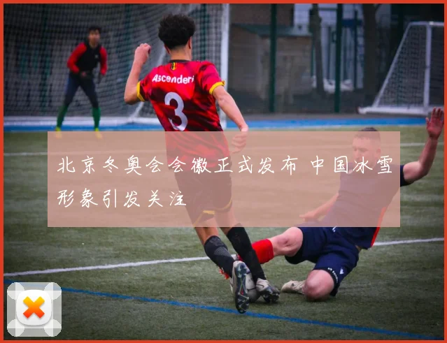 北京冬奥会会徽正式发布 中国冰雪形象引发关注