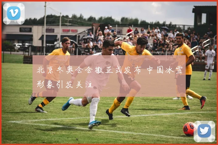 北京冬奥会会徽正式发布 中国冰雪形象引发关注