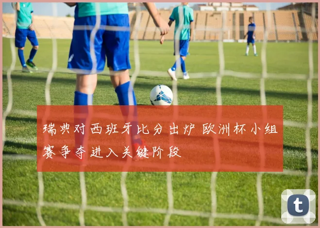 瑞典对西班牙比分出炉 欧洲杯小组赛争夺进入关键阶段
