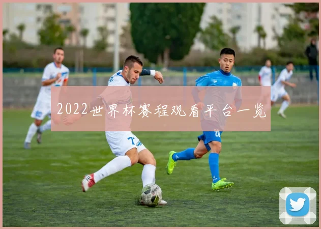 2022世界杯赛程观看平台一览
