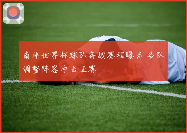 南非世界杯球队备战赛程曝光 各队调整阵容冲击正赛