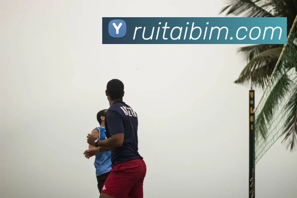 bat365在线官网-登录入口平台生态图