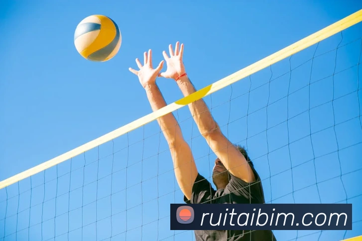 App Interface Preview